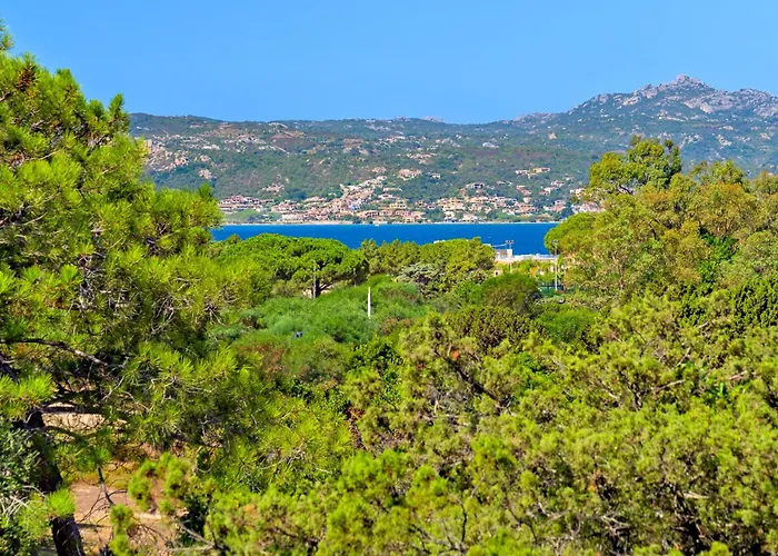 Appartamento Esclusive House Costa Smeralda Monica House